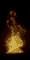 flame.gif (10919 Byte)
